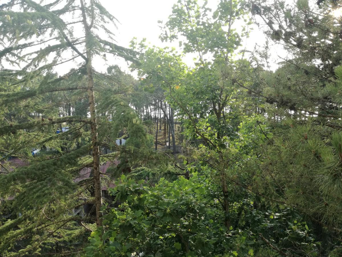 Studio Apartment With Great View 乌雷基 外观 照片