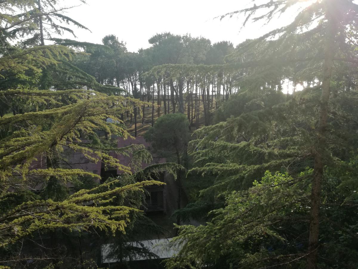 Studio Apartment With Great View 乌雷基 外观 照片