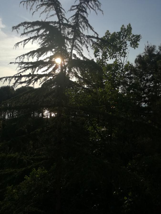 Studio Apartment With Great View 乌雷基 外观 照片