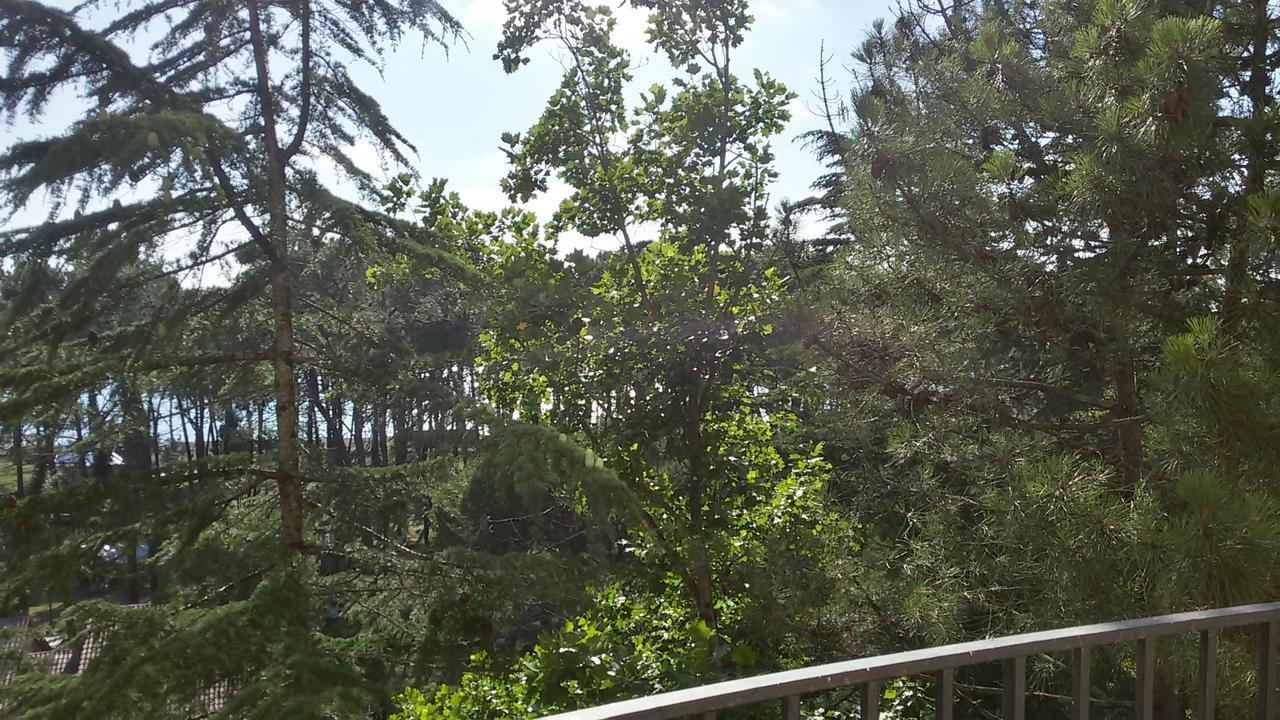 Studio Apartment With Great View 乌雷基 外观 照片